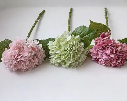 Nola aukeratu Hydrangea artifiziala?