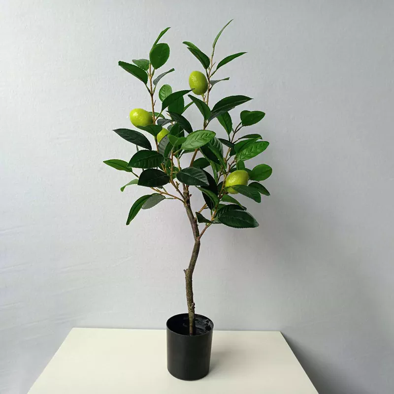 Limoi Artifiziala