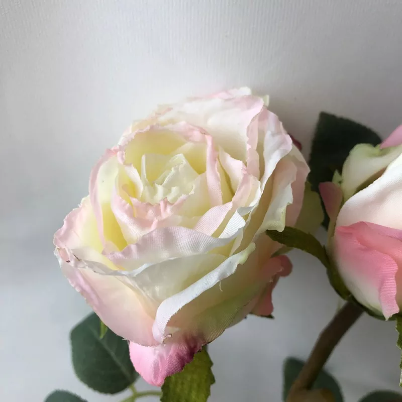 Arrosa artifiziala spray