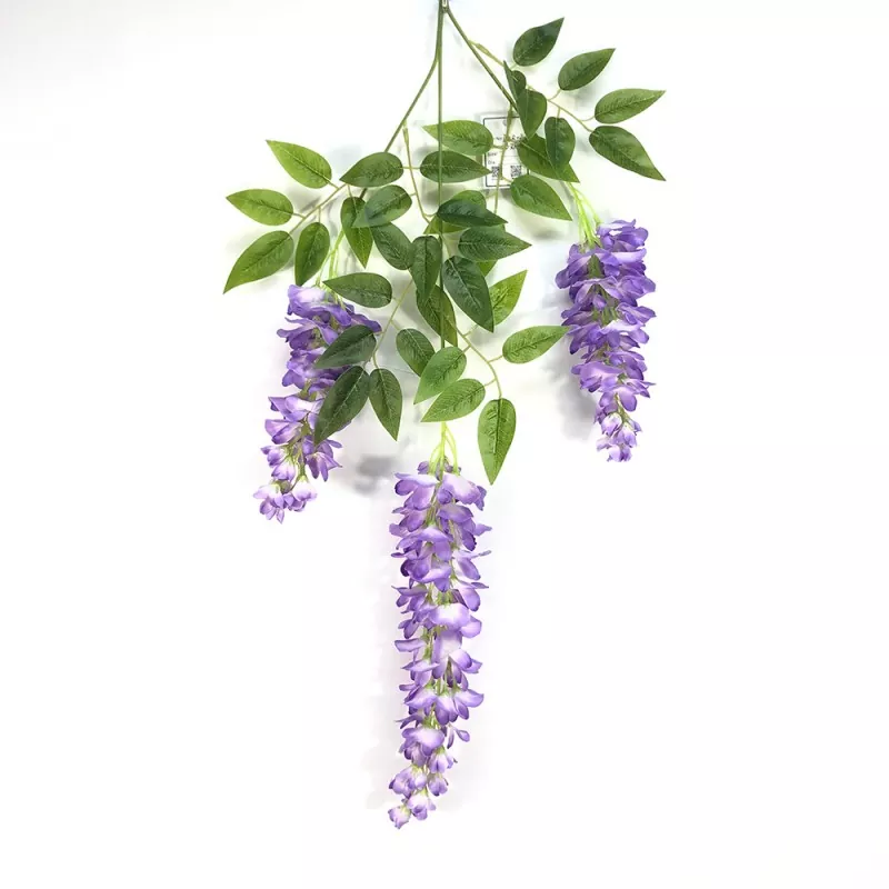Wisteria adar faltsuak