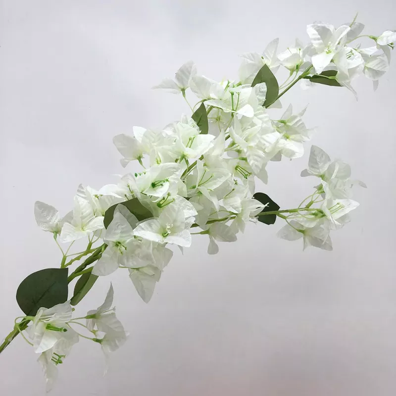 Faux bougainvillea loreak