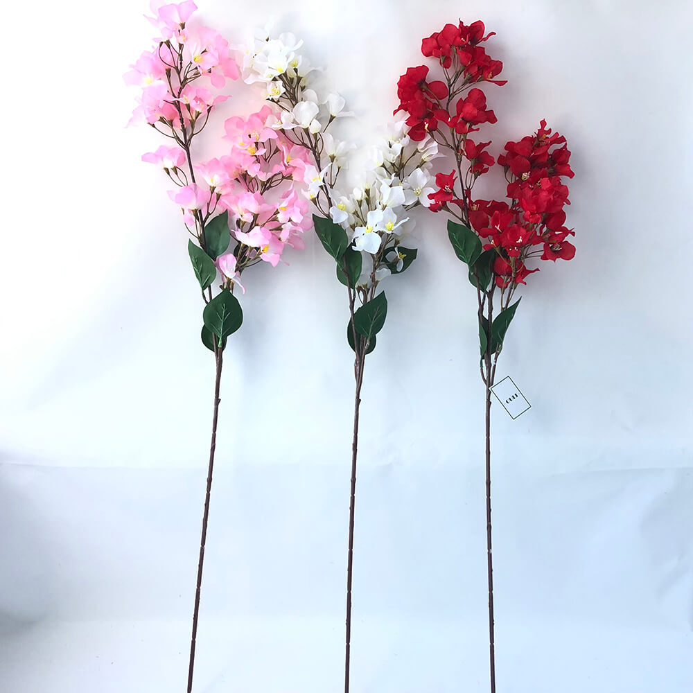 Zetazko bougainvillea lore spray